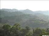 Bosque Guajataca  - ISABELA
